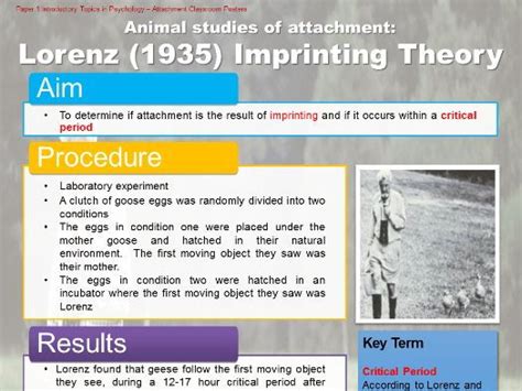 laurence conrad|konrad lorenz theory of imprinting.